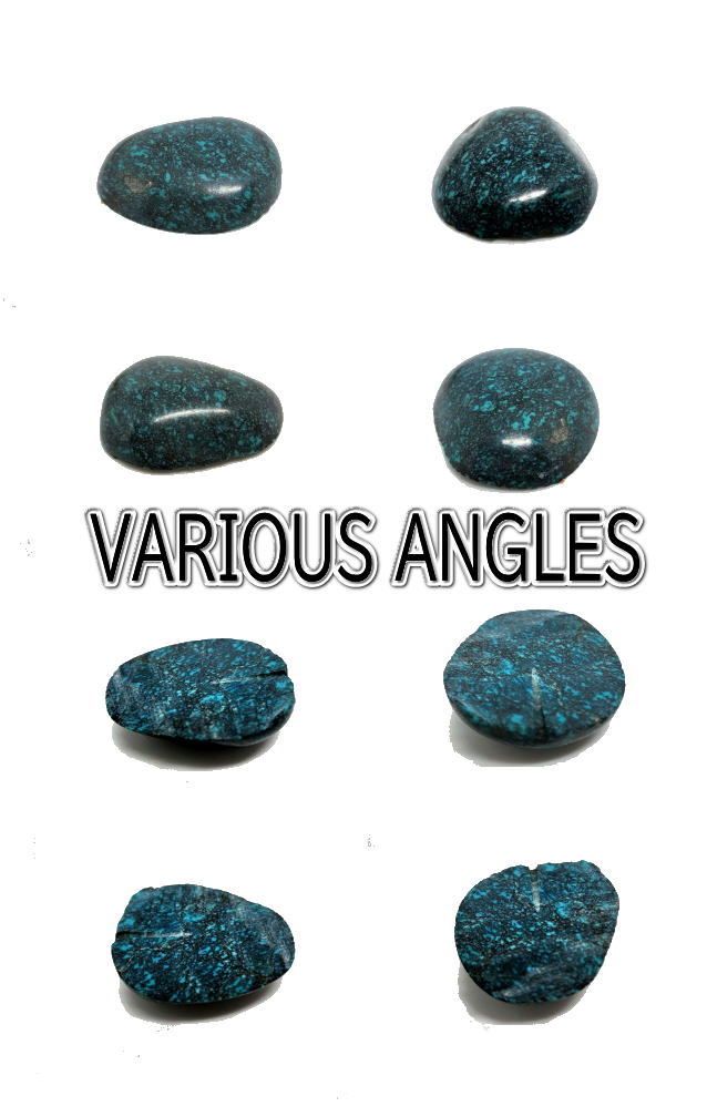 スパイダーウェブターコイズルース