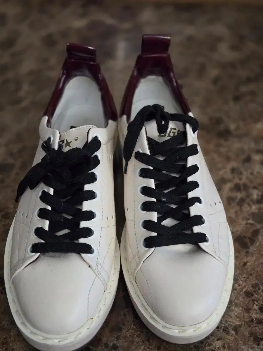 ゴールデングース スニーカー STARTER バーガンディ 正規品 新品