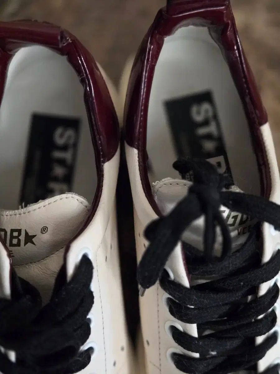 ゴールデングース スニーカー STARTER バーガンディ 正規品 新品