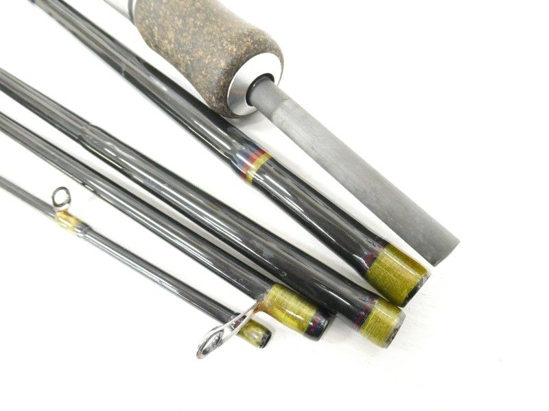 フィンチ カナリア