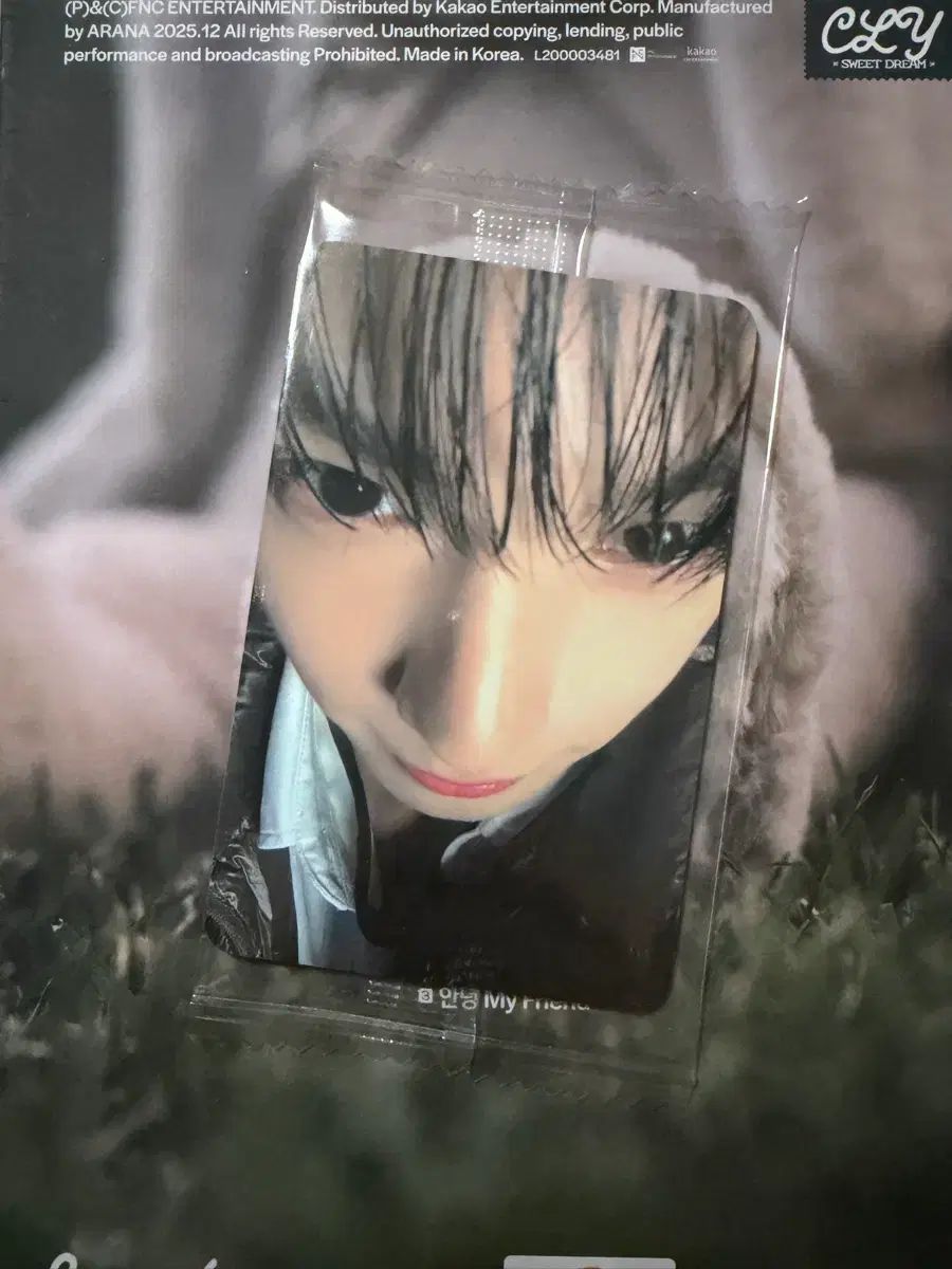 チェ・ユリプ ktown4u ケタポ 未公開トレカ 未開封 出品 | SWEET DREAM