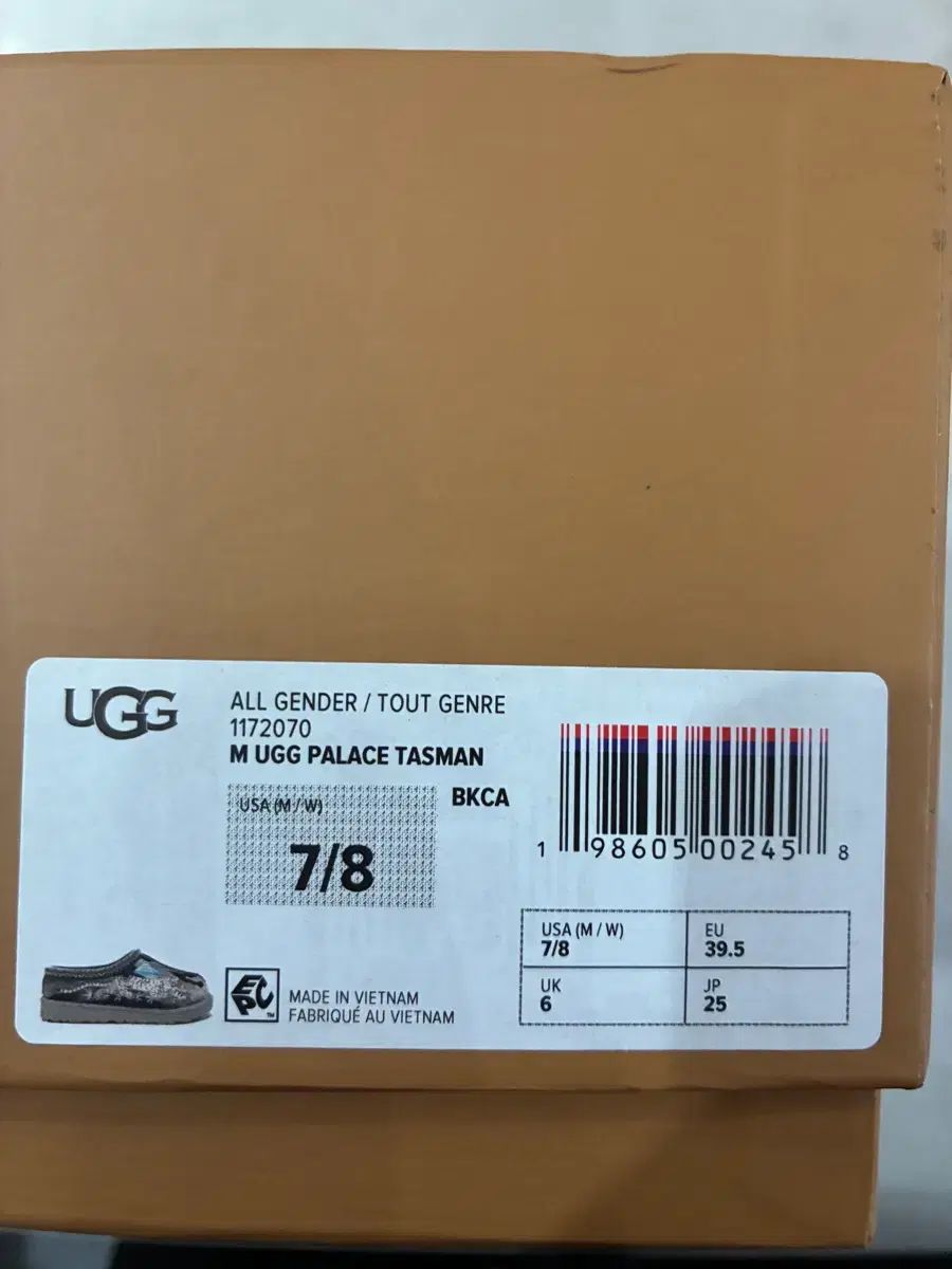 パレス タスマン