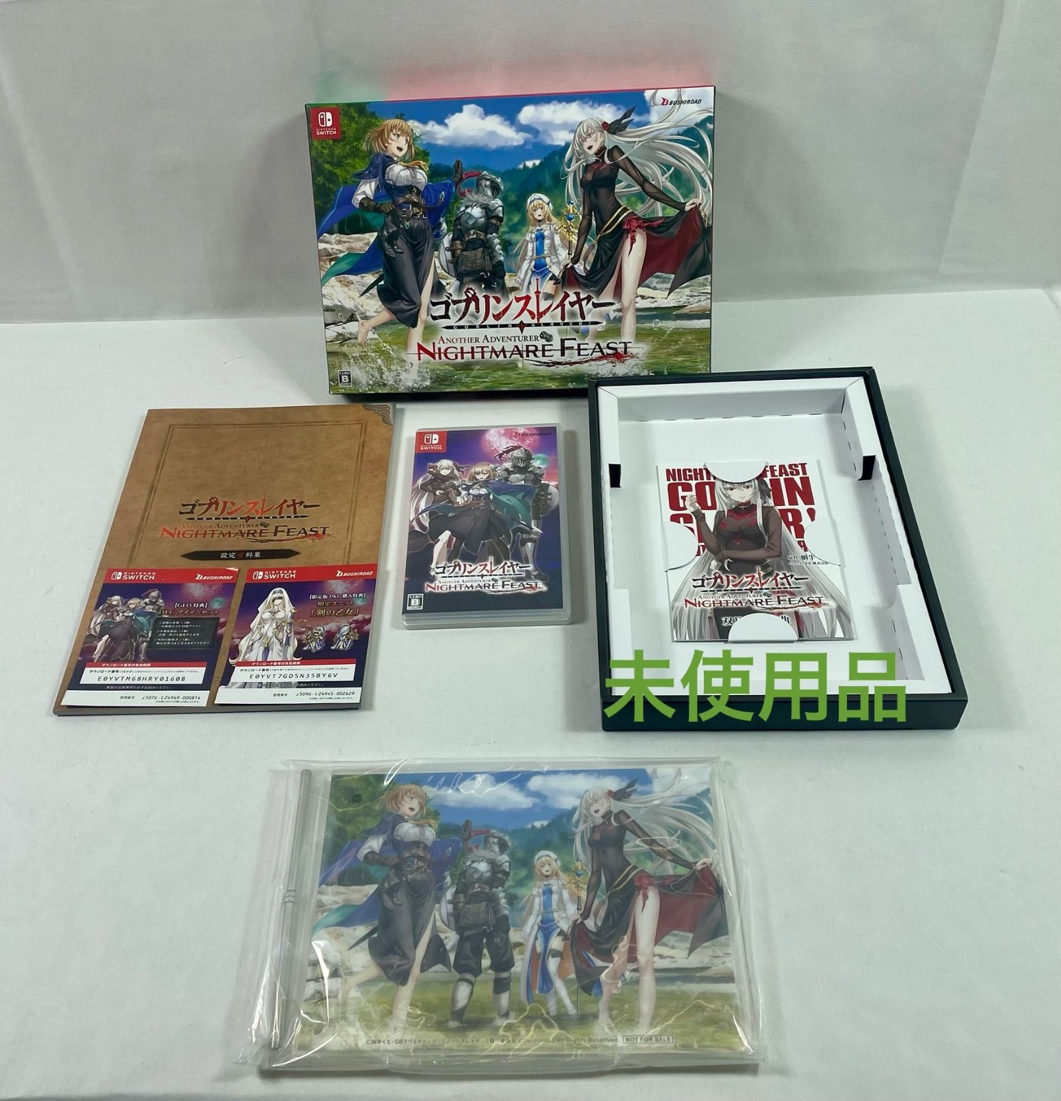 A 2276 ゴブリンスレイヤー ANOTHER ADVENTURER NIGHTMARE FEAST 初回 パッケージ版 SWITCH