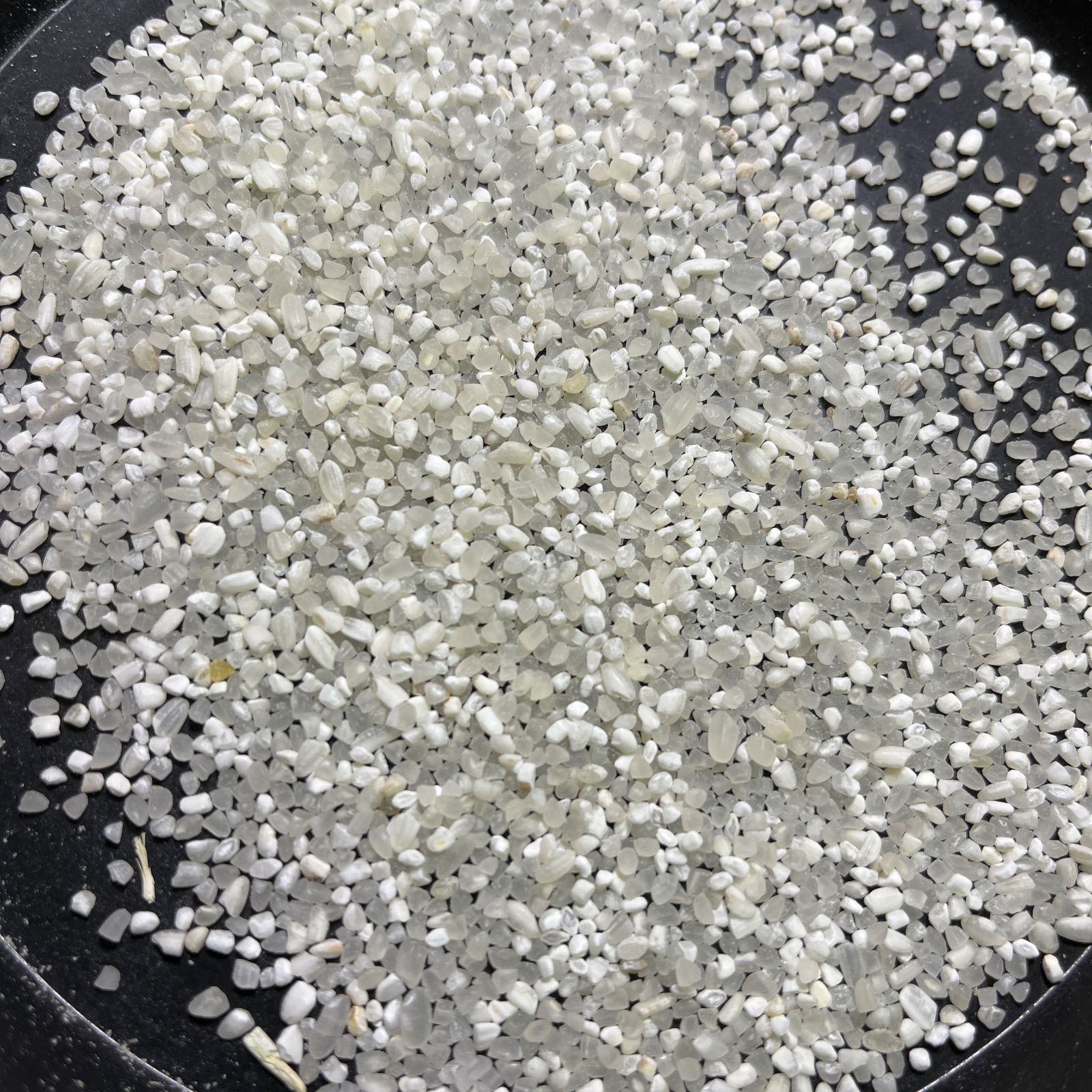 鳥餌 小動物 砕米 10kg - メルカリ