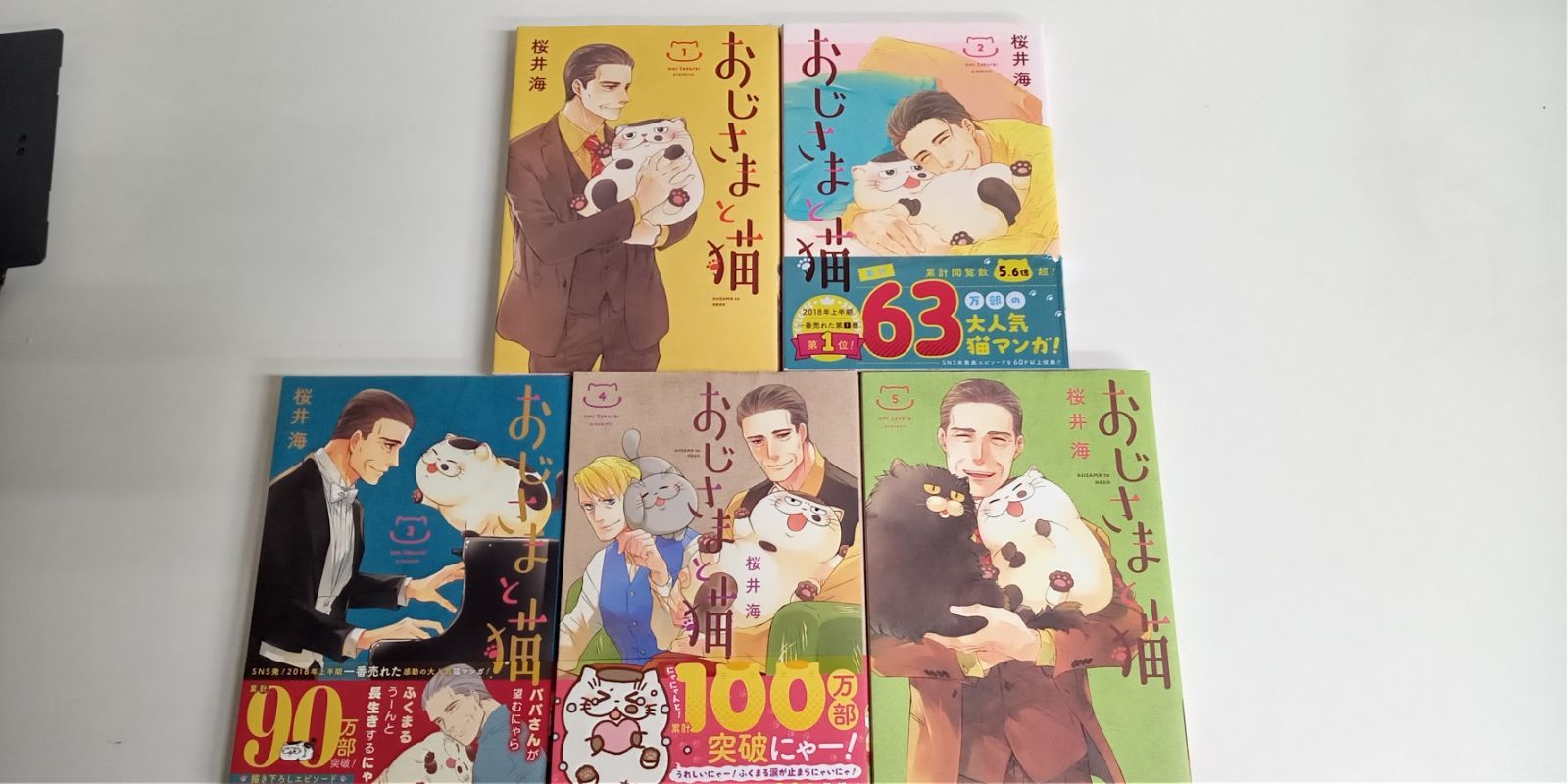 おじさまと猫1〜5巻セット 桜井海 - メルカリ