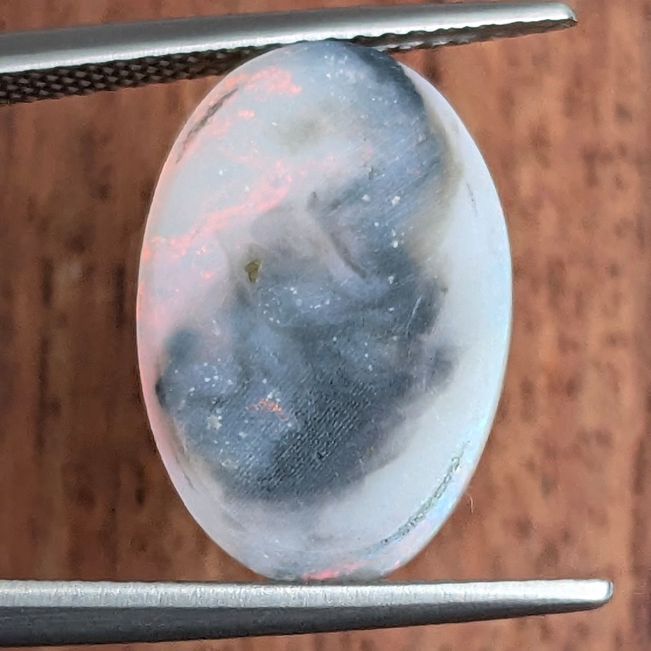 オーストラリア産 5.101