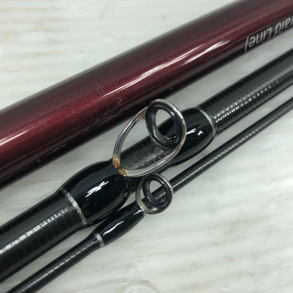 ΣΣFishman フィッシュマン