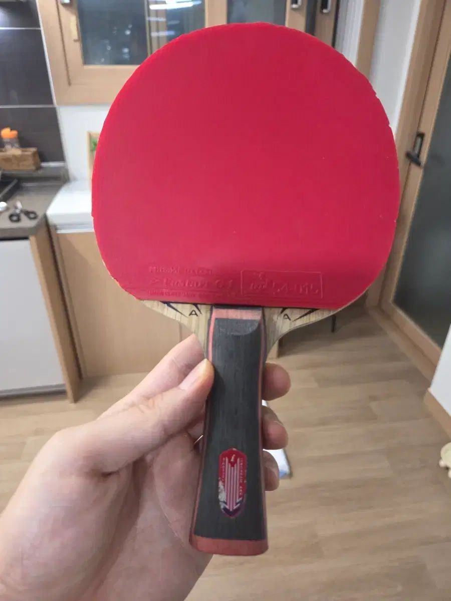 チョン ヨンシク アイスクリーム AXZI 卓球ラケット