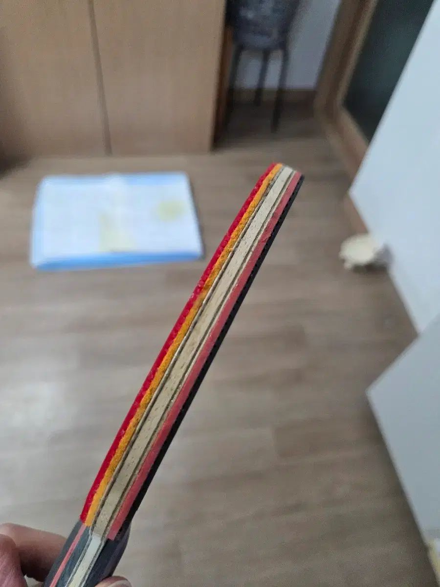  チョン ヨンシク アイスクリーム AXZI 卓球ラケット その他 卓球