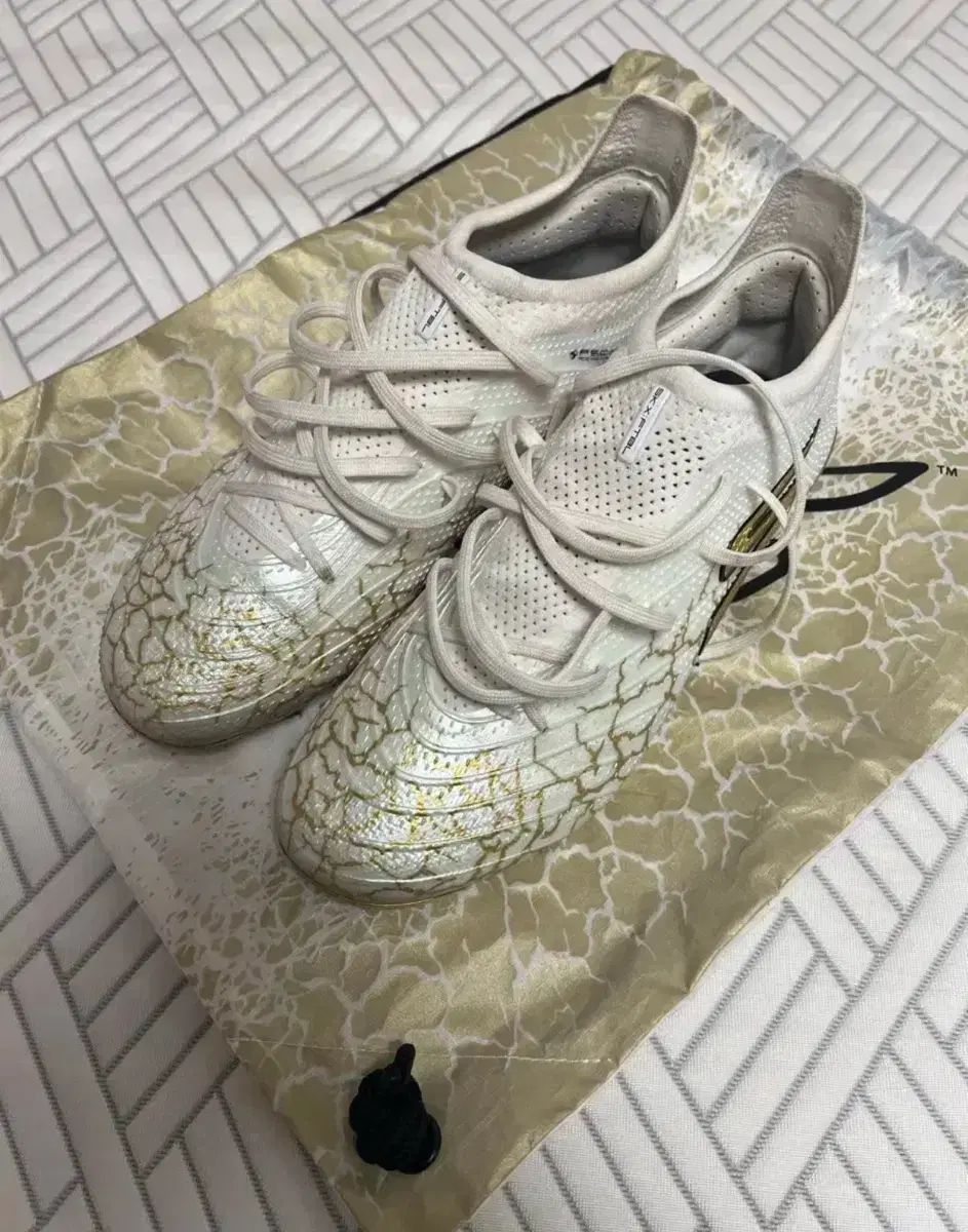 スケッチャーズ skx 1 5 エリート