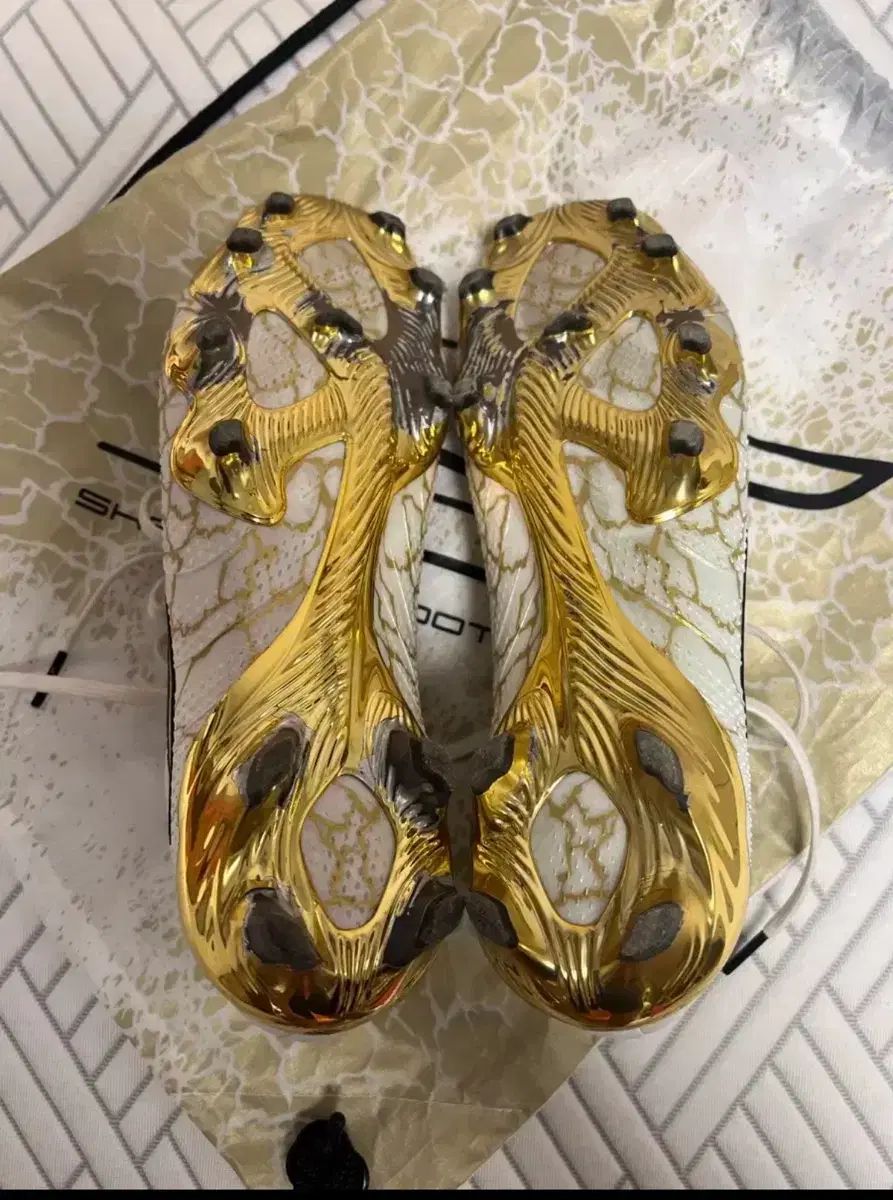 スケッチャーズ skx 1 5 エリート