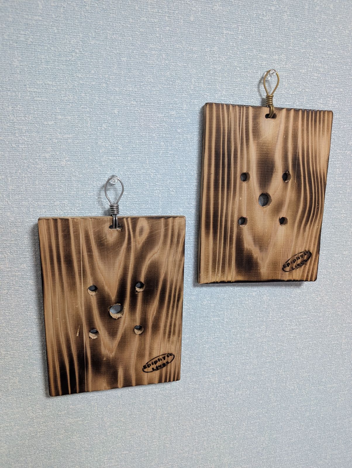 着生板】焼杉 ビカクシダ 着生板 - メルカリ