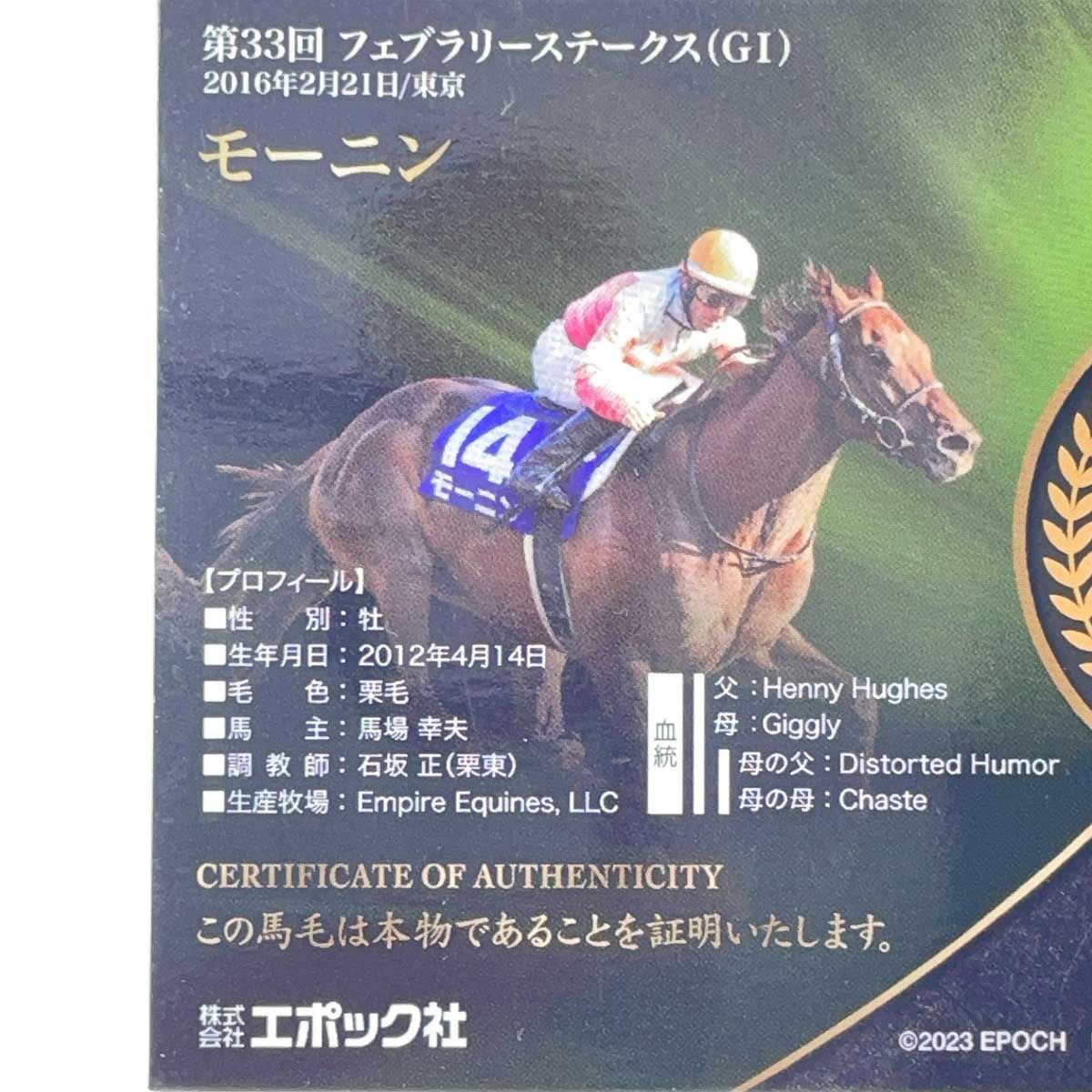  2025 エポック ホースレーシング モーニン DNA 21 60 その他 コレクション