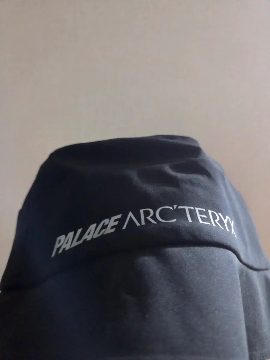 ARC TERYX PALACE バケットハット