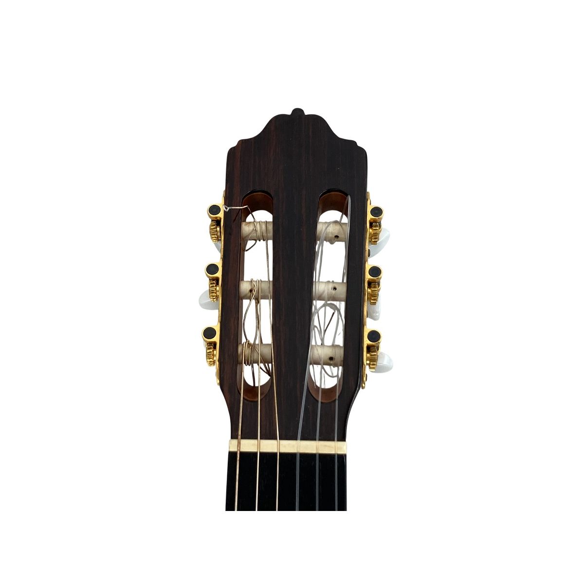 アントニオ 楽器