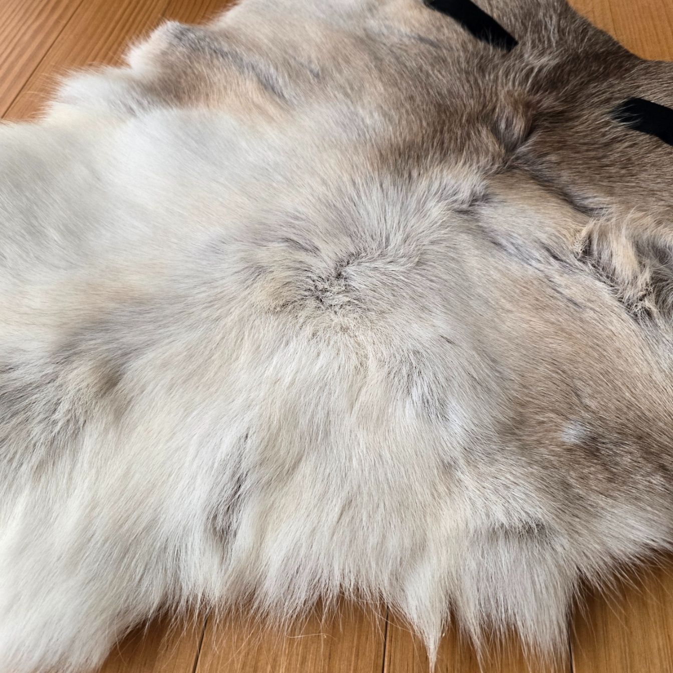現物!トナカイ毛皮 63x55cm シートパッドビッグサイズ 天然 敷物 現物!トナカイ毛皮 63x55cm シートパッドビッグサイズ 天然 敷物