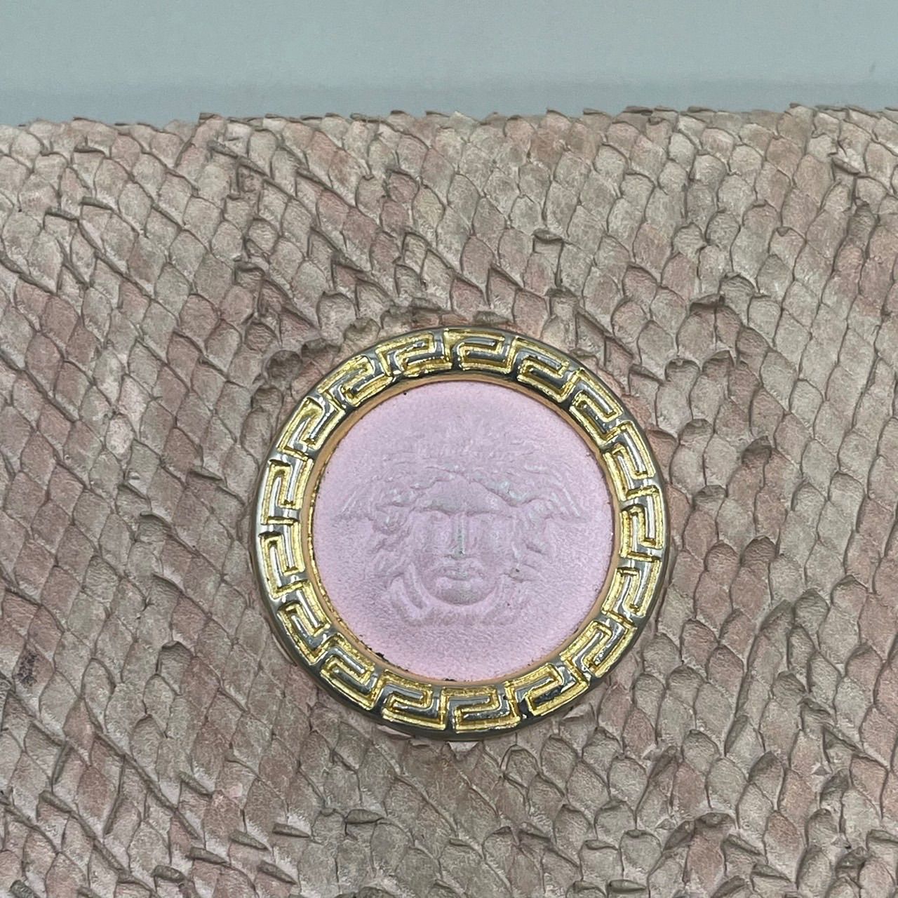 リアルパイソン