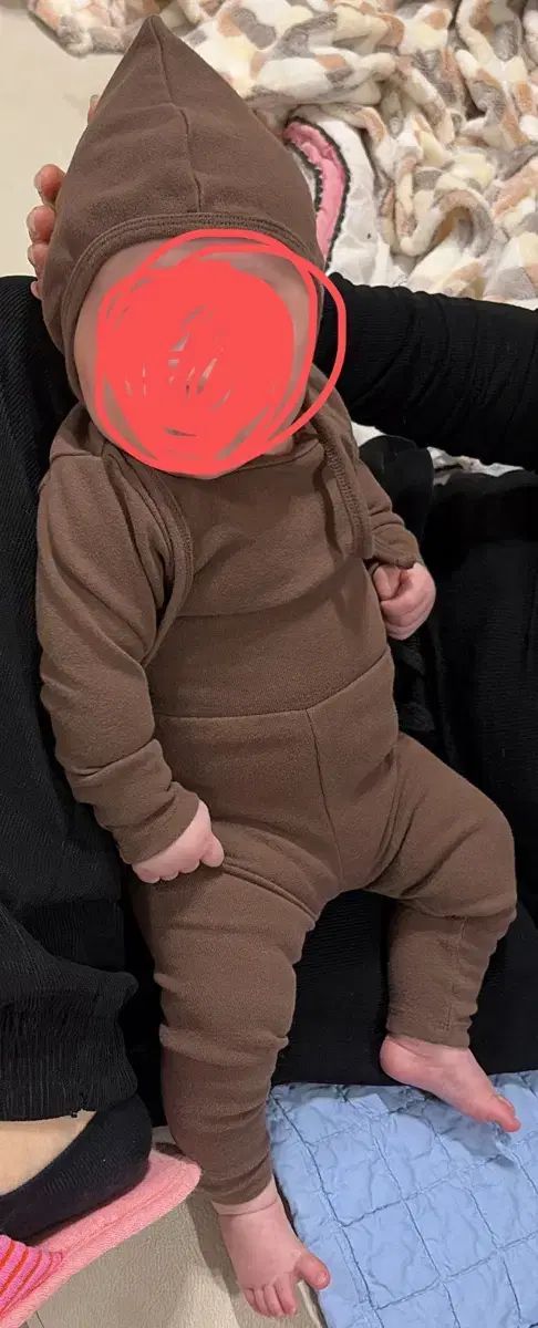 トナカイ セット