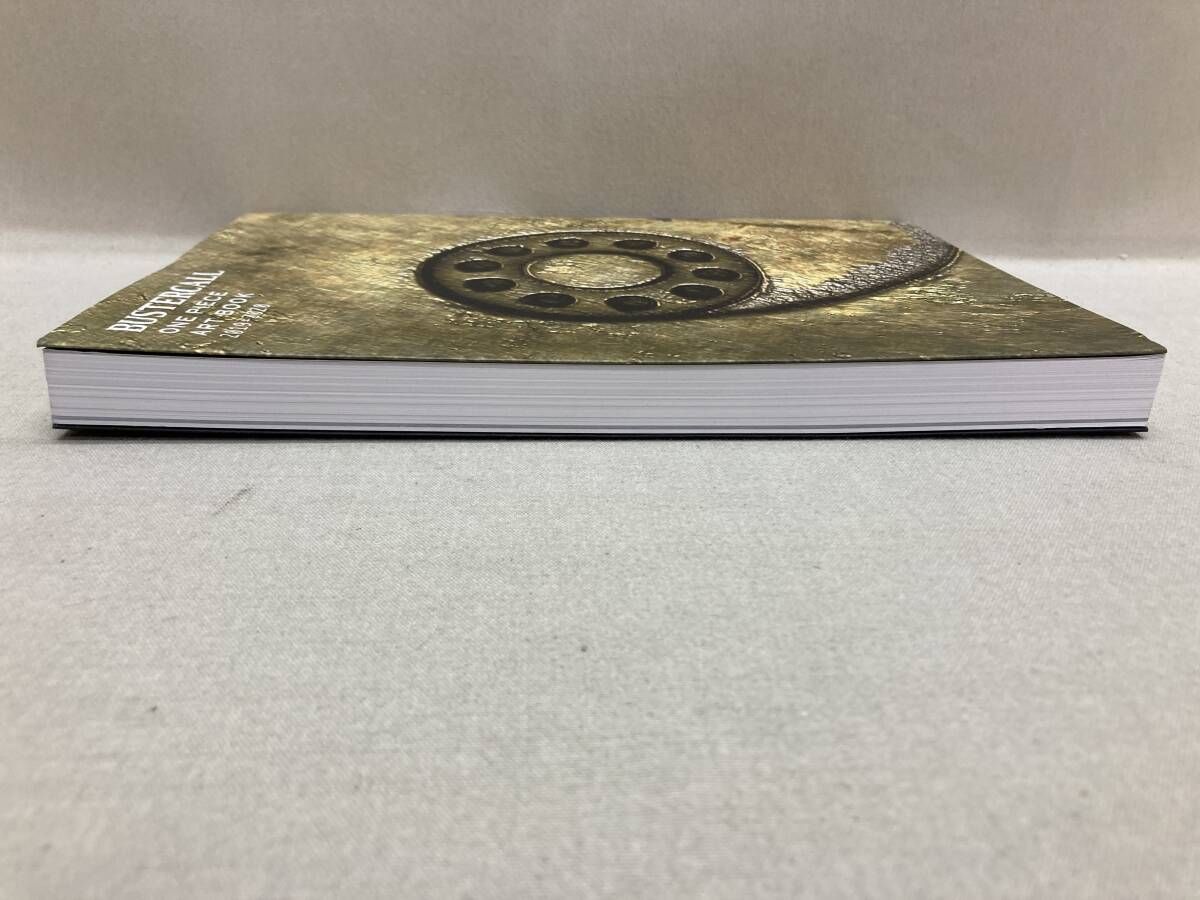 ONE PIECE 「BUSTERCALL」ART BOOK 2019-2020 ワンピース バスター