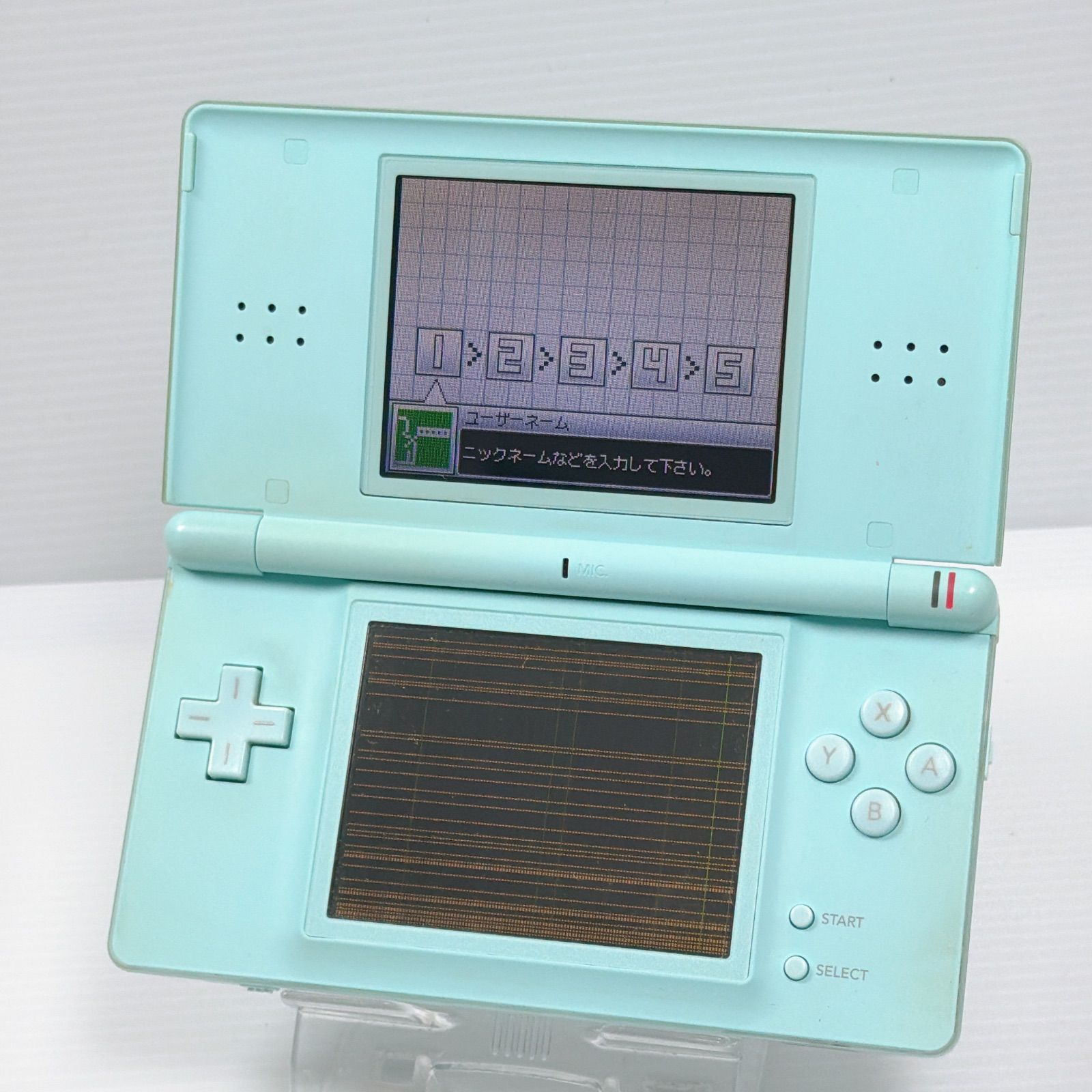 DS Lite