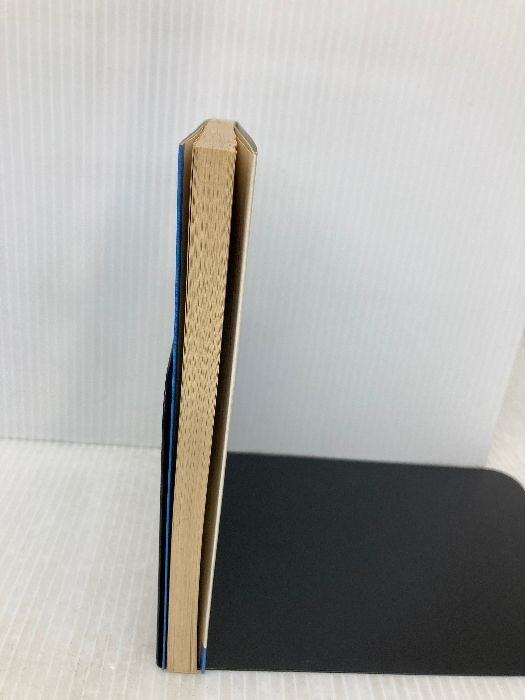 二次元の世界 平面の国の不思議な物語 ブルーバックス 315 講談社 E.A.アボット