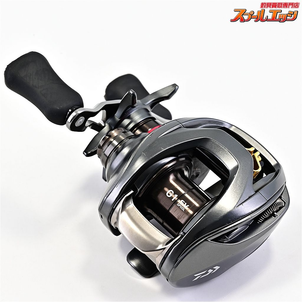 DAIWA STEEZ