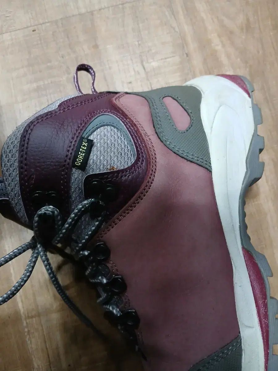 トレクスタ GORE