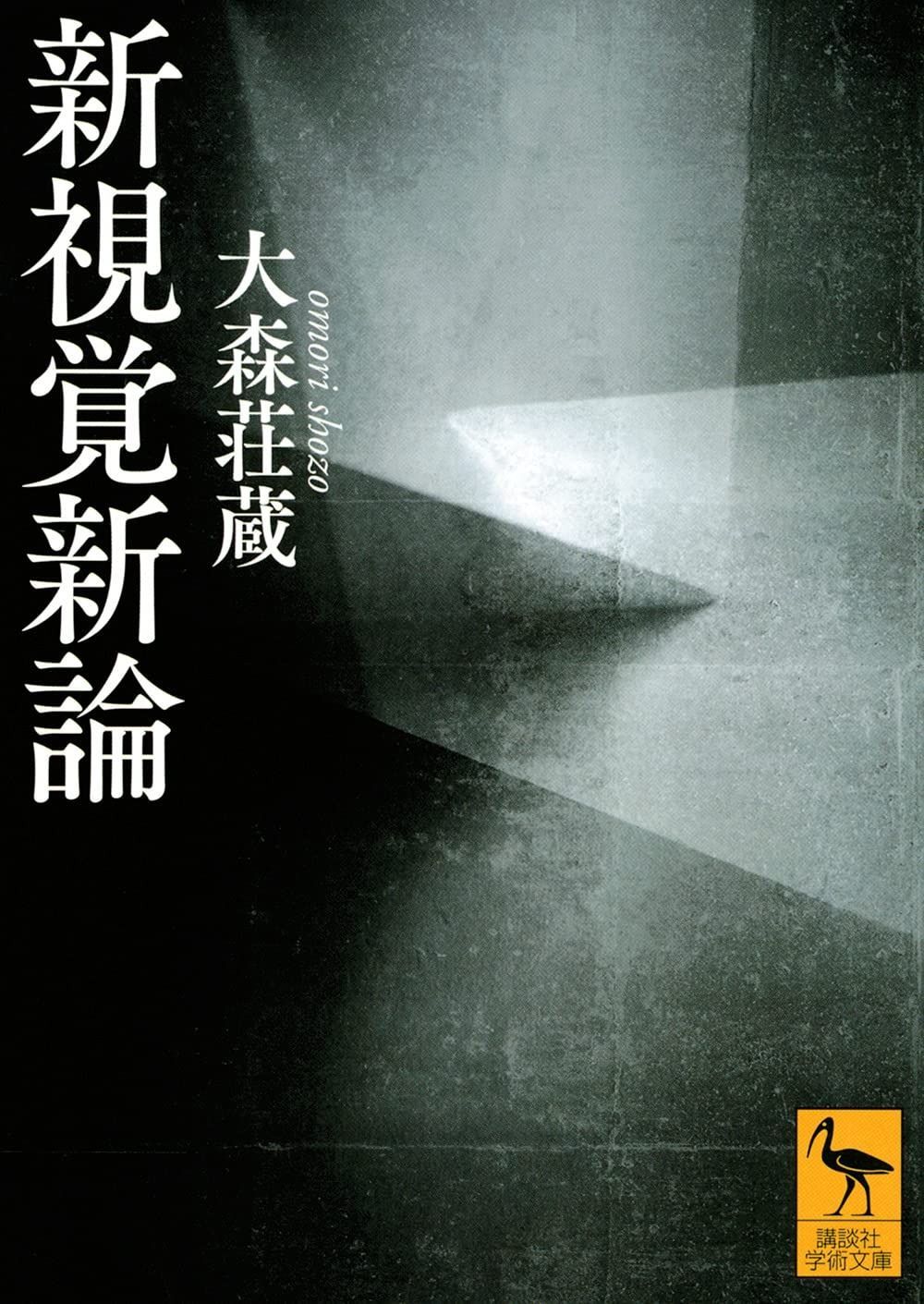 新視覚新論 (講談社学術文庫 2684)