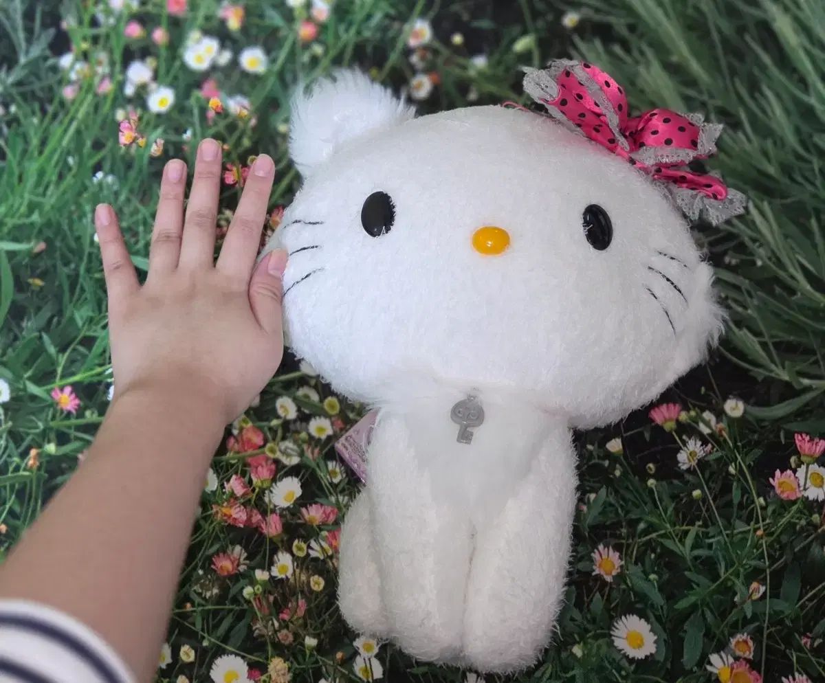 チャーミーキティ ぬいぐるみ ハローキティ サンリオ(SANRIO) BIG 