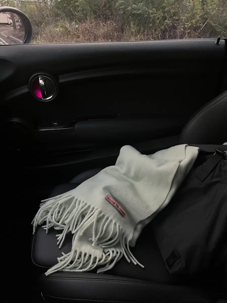 Acne Studios アクネストゥディオズ ウール スカーフ オーバーサイズ ペイル グリーン