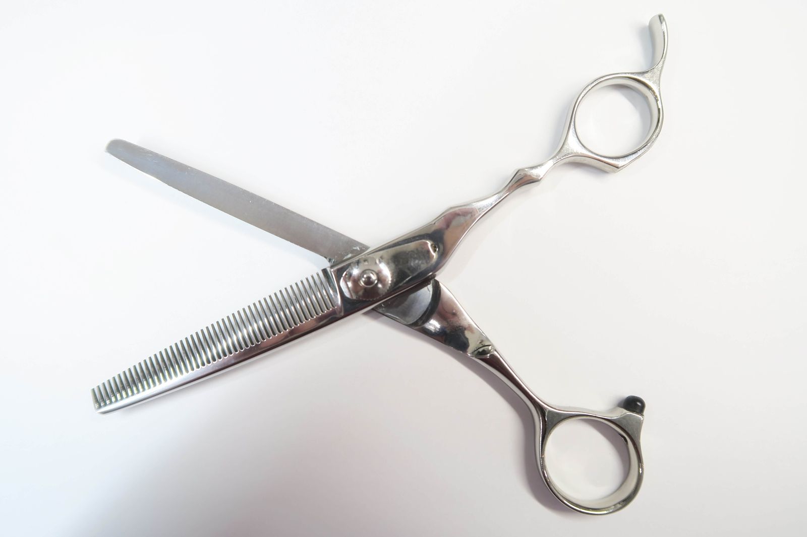 Cランク【FACKY-MOS ファキモス】 gr4 フレンチカットグラン セニング