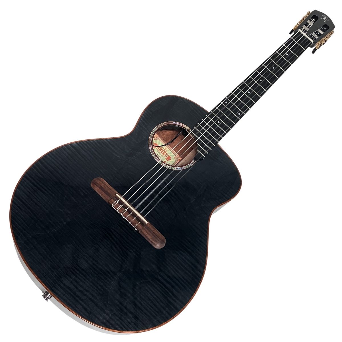 aNueNue Bird LN 77 aNN-LN E エ コ エレガットギター 6弦 楽器