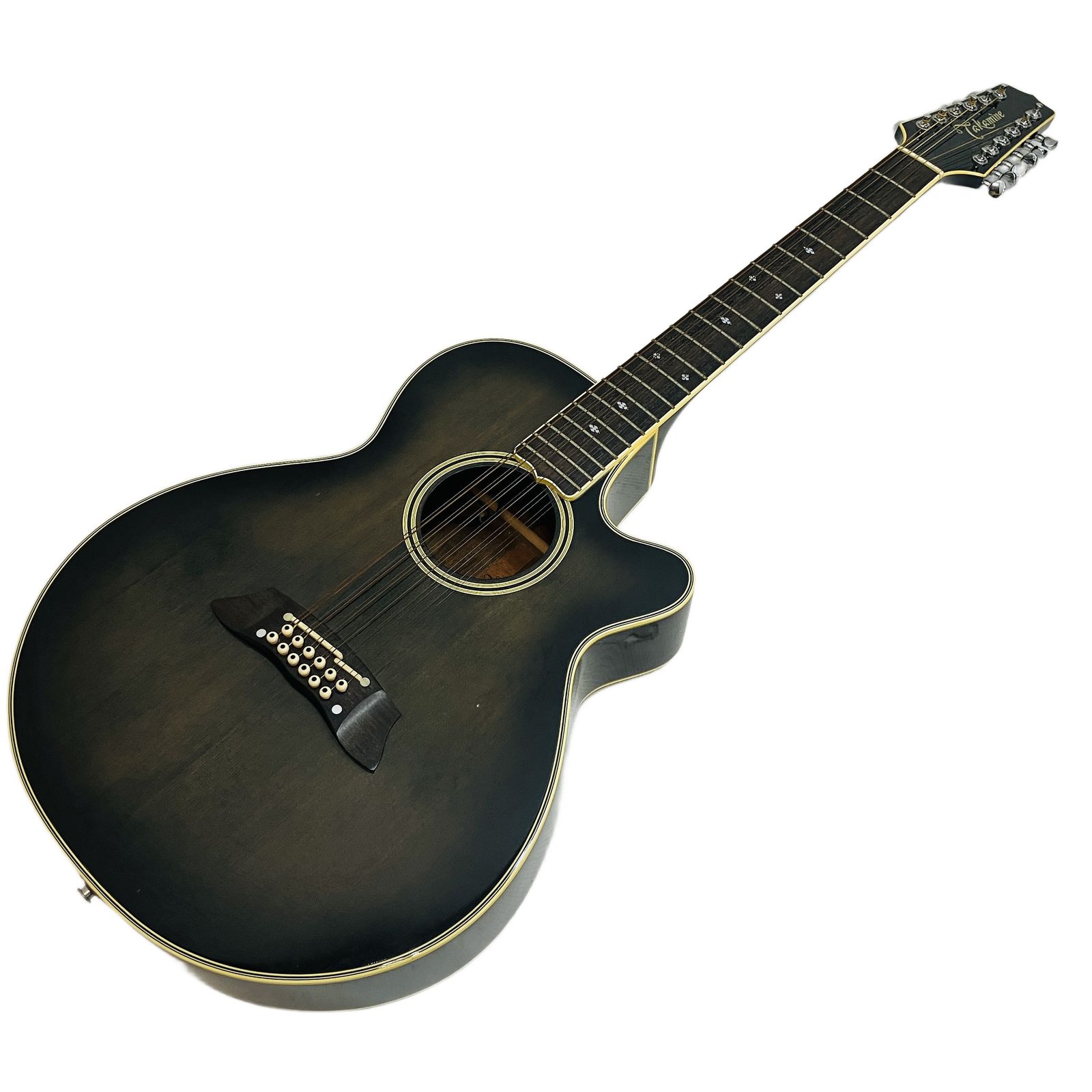 Takamine NPT110-12 12弦 エレクトリック アコースティック ギター