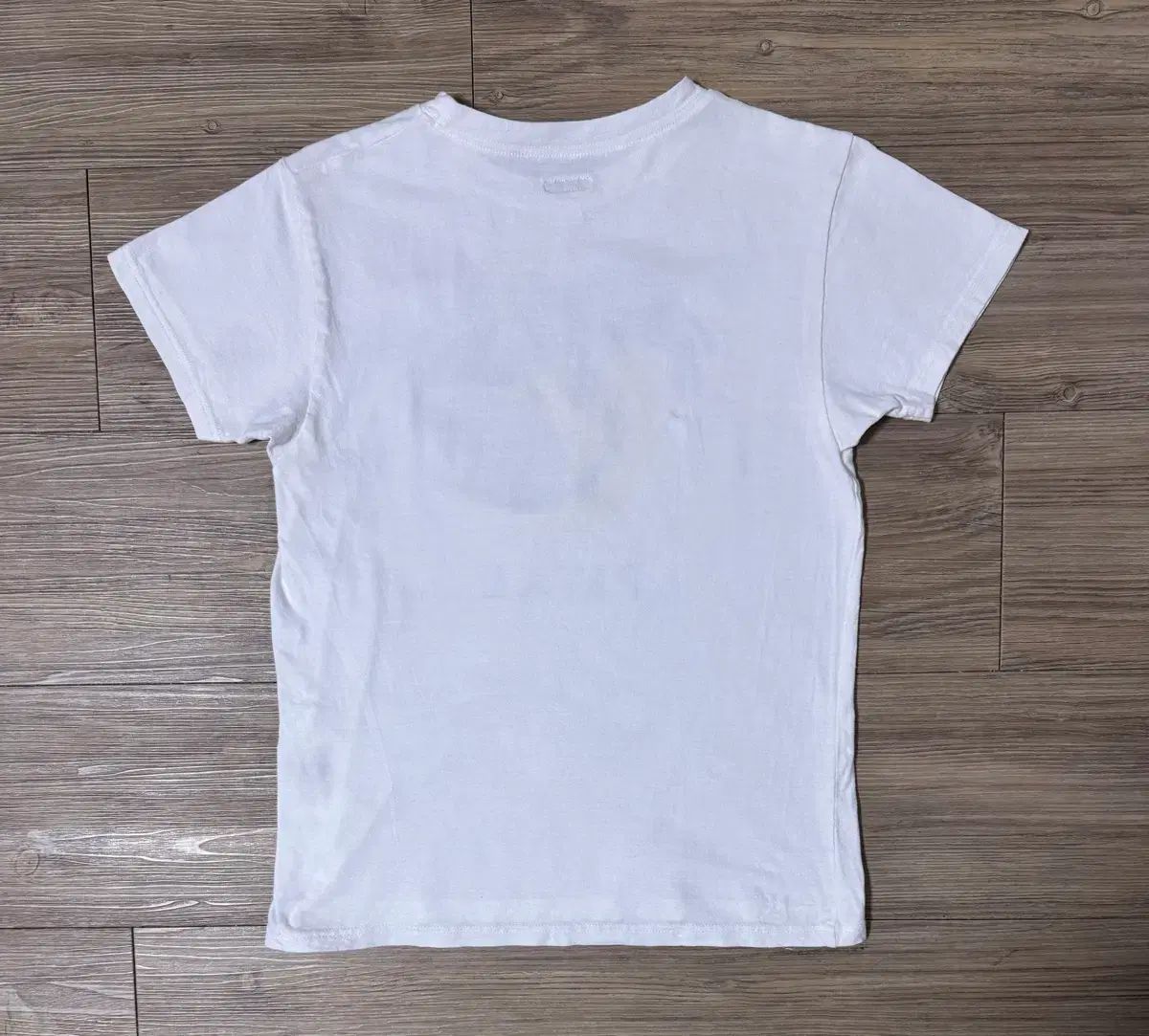 キャピタル アニマル プリント Tシャツ