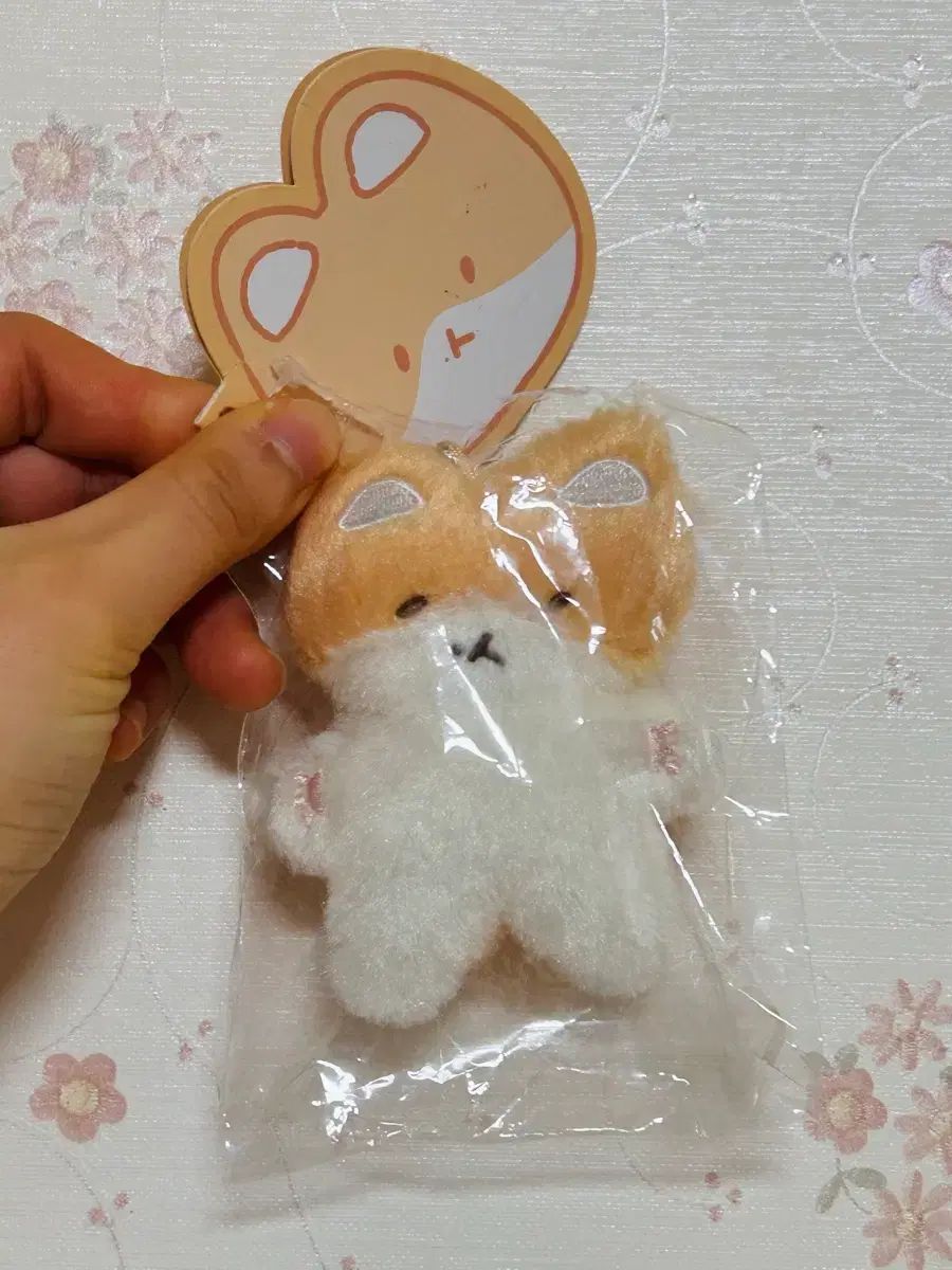 【新品・未使用】ベッキョン　トレギ　Baekhyun TEOLAEGI ラグ ベクヒョン(BAEKHYUN) トレギ TEOLAEGI キーホルダー 1次 紛失しないで