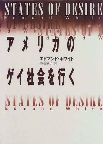 アメリカのゲイ社会を行く | HEAPS NYCのLGBTが歩んできた歴史 改訂版）LGBT・ゲイ権利運動の市民権戦略とアメリカ政治 LGBTQ社会」アメリカの現実（１）：LGBTQは人口の7%を占める まとめ６選社会運動
