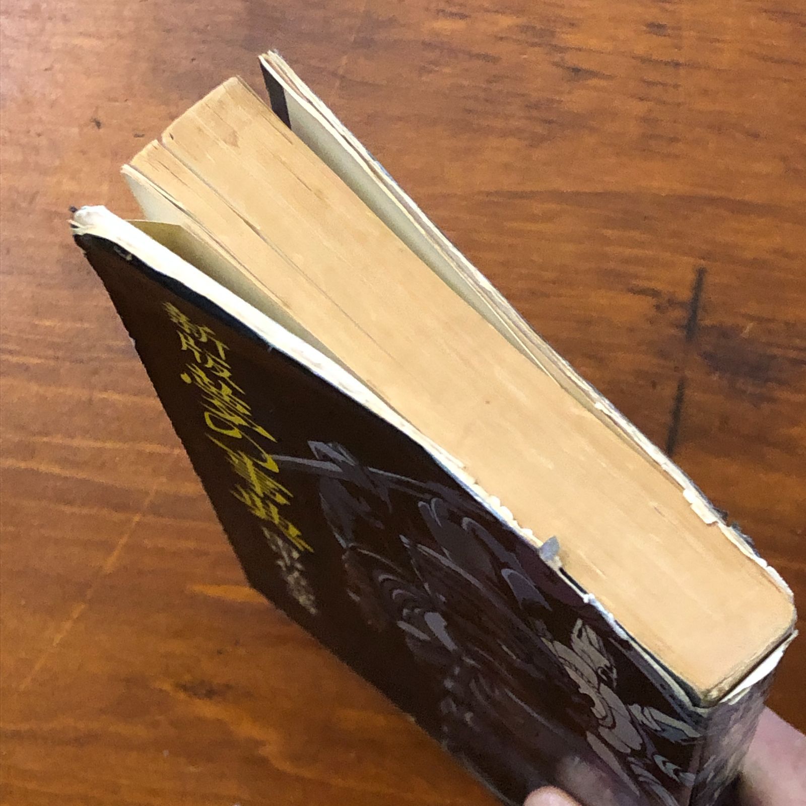 新版 夢の事典 田中佐和 東京新聞出版局 1980年1月15日 初版発行 ☆夢