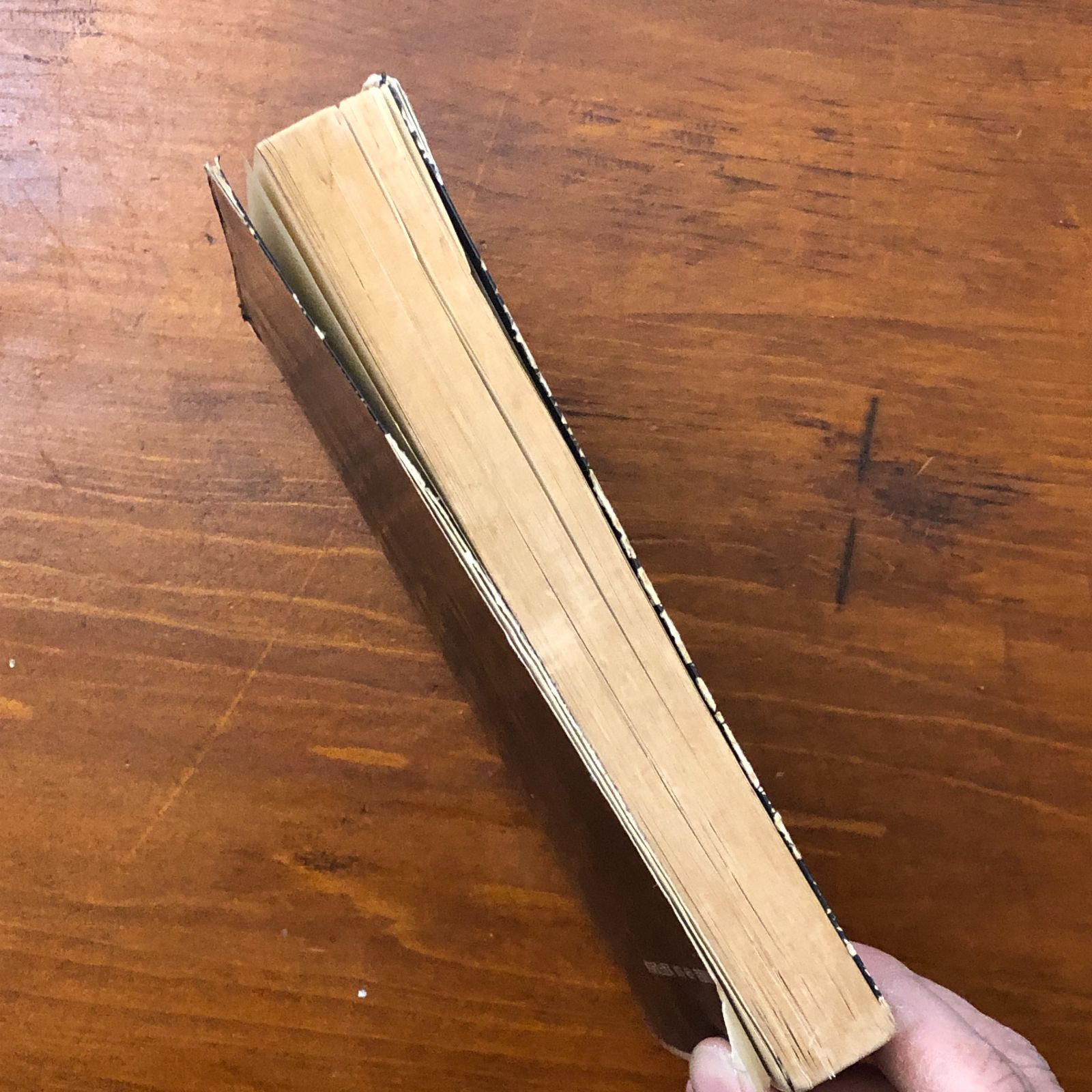 新版 夢の事典 田中佐和 東京新聞出版局 1980年1月15日 初版発行 ☆夢