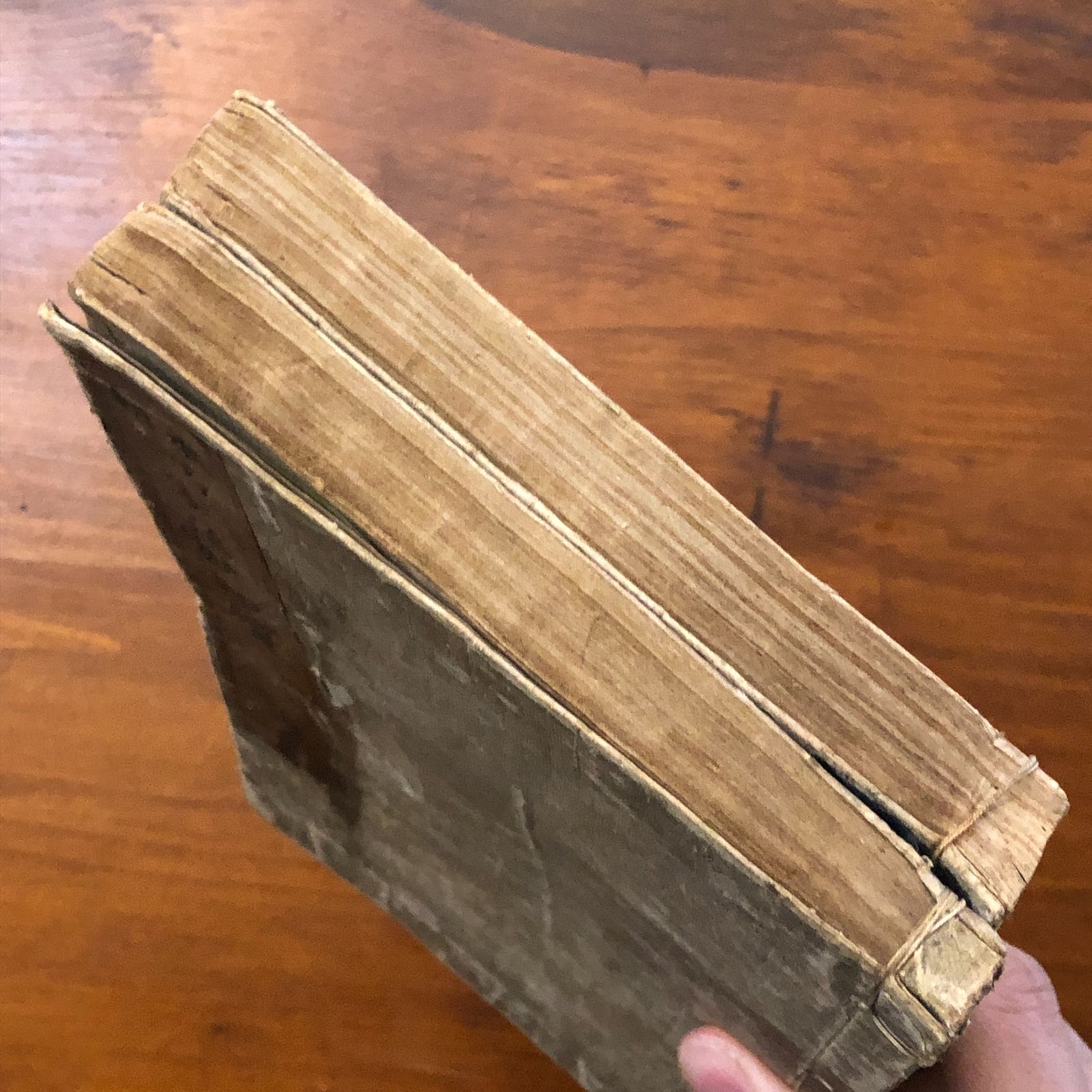 本朝 画家落款印譜 上下巻 2冊 狩野素川寿信 編輯 大倉書店 明治二十七