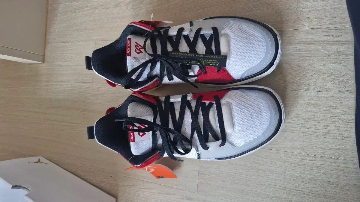 ナイキ ジョーダン1 Take 5 FP ナイキコリア 285