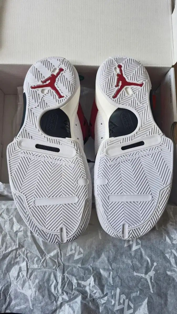 ナイキ ジョーダン1