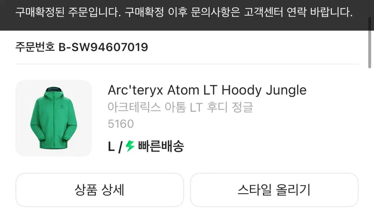 ARC TERYX アークテリクス Atom アトム LTフーディー Lサイズ