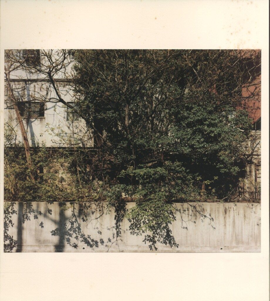 高橋恭司 Life Goes On 注文 高橋恭司 life goes on kyoji takahashi