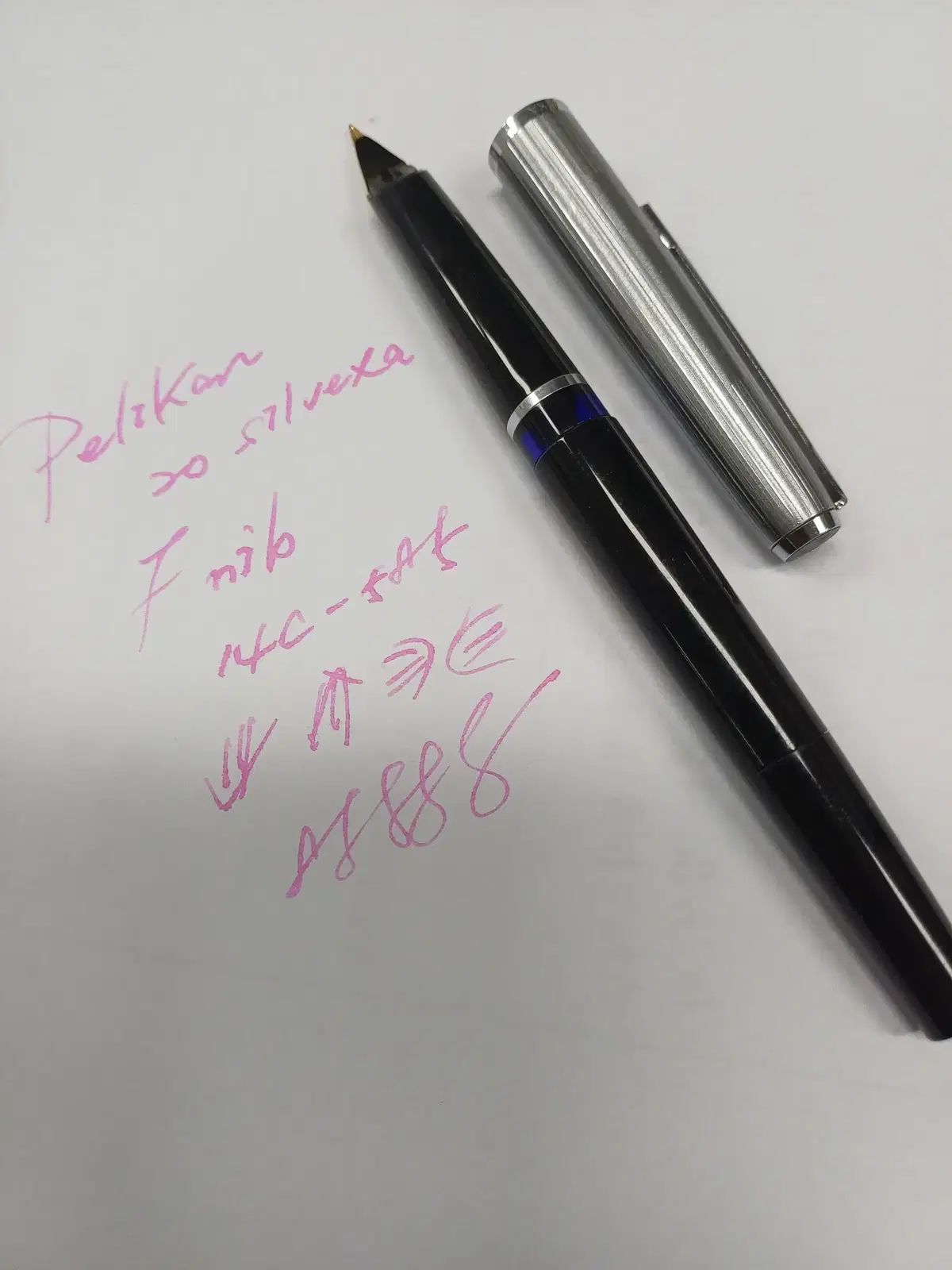 リー pelikan 실벡사 万年筆