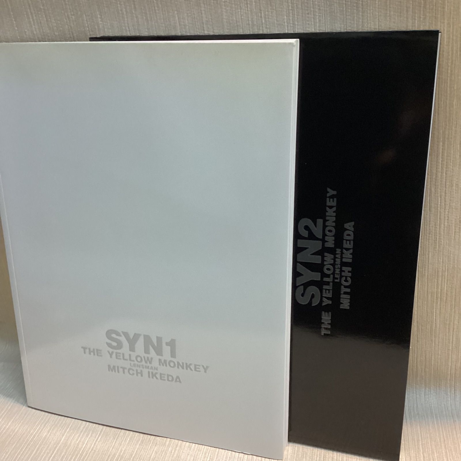 ザ・イエローモンキー 写真集、ツアーパンフレット、掲載雑誌27冊