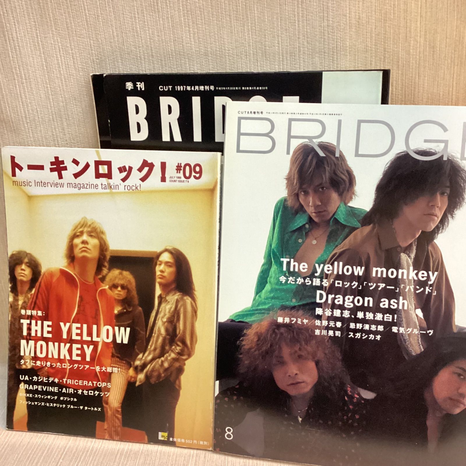 ザ・イエローモンキー27冊セット The yellow monkey 写真集・ツアー