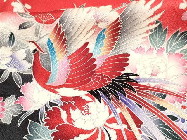 襦袢付き 鳳凰花文