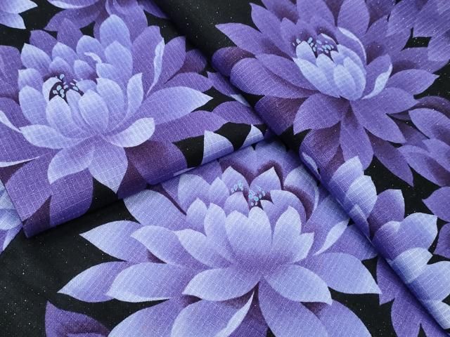 平和屋着物∴夏物 浴衣 綿紅梅 菊文 ラメ糸 黒地 綿 ng