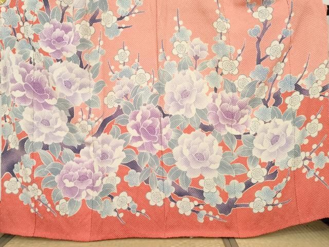 名門 藤娘きぬたや