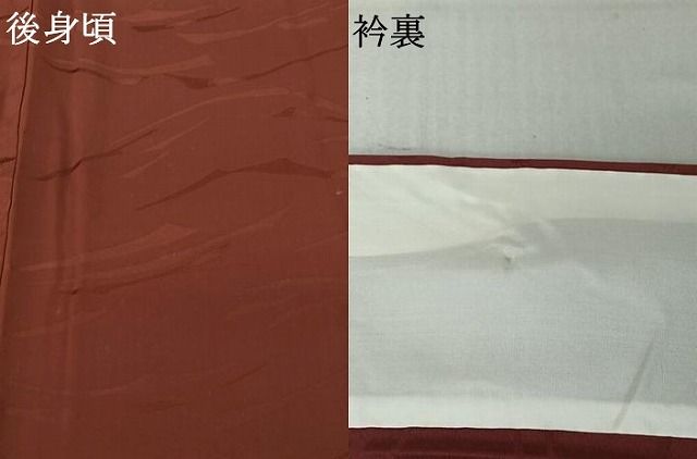 上質な色無地 単衣